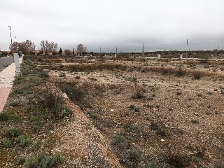 EL GALLITO 6