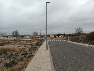 EL GALLITO 9