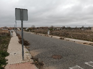 EL GALLITO 11
