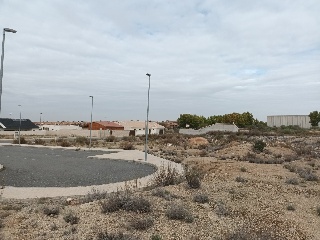 EL GALLITO 13