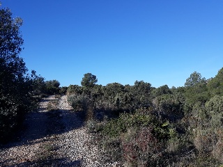 Suelo rústico en Pr La Plana Baixa / San Chils Polígono - Onda - Castellón 9