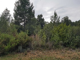 Suelo rústico en Pr La Plana Baixa / San Chils Polígono - Onda - Castellón 13