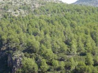 Suelo rústico en Pr La Plana Baixa / San Chils Polígono - Onda - Castellón 14