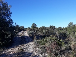 Suelo rústico en Pr La Plana Baixa / San Chils Polígono - Onda - Castellón 17