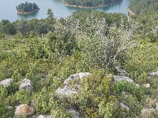 Suelo rústico en Pr La Plana Baixa / San Chils Polígono - Onda - Castellón 19