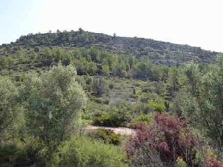 Suelo rústico en Pr La Plana Baixa / San Chils Polígono - Onda - Castellón 21