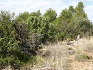 Suelo rústico en Pr La Plana Baixa / San Chils Polígono - Onda - Castellón 26