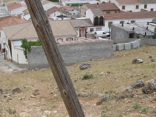 Buena Vista De Illora 13