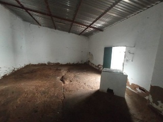 Obando 8