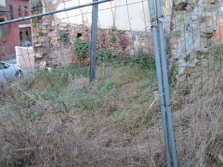 Cahecia La 11