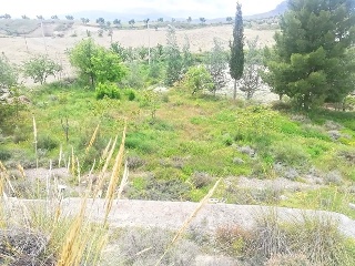 Cuevas De Luna 7