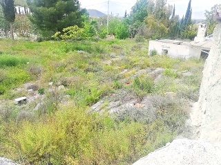 Cuevas De Luna 8