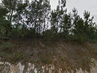Chozas 86