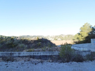 Arboç 4