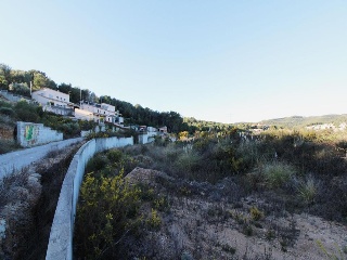 Arboç 6