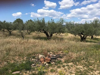 Loma (La) 3