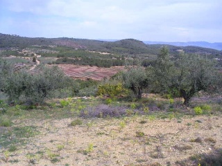 Loma (La) 4