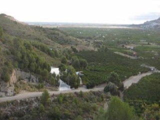 Partida Mostalla 3