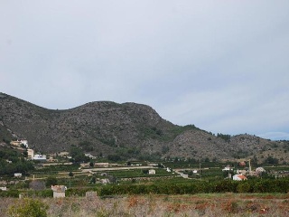 Partida Mostalla 5