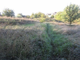 Iturriane 7