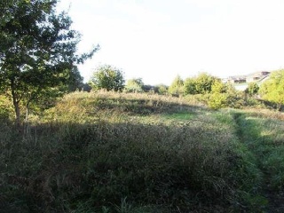 Iturriane 8