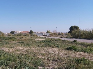 Lorqui 3