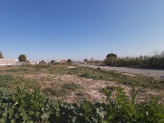 Lorqui 5