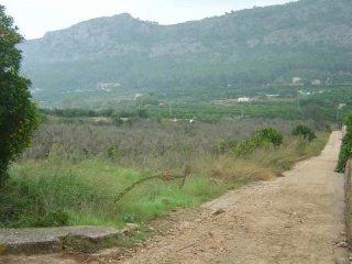 Partida La Casella 5