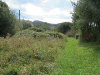 Camposa-Beco 3