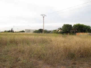 Marrada 4