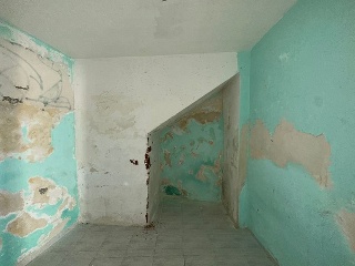 Cano Y Neira 7