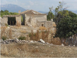 Cortijo Rejas 3