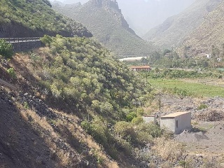 Langrero 3