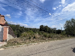 Rovelló 2