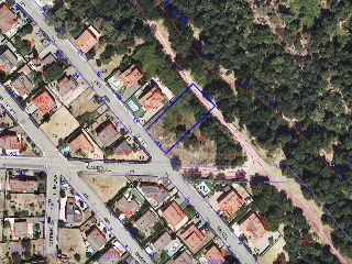 Rovelló 3