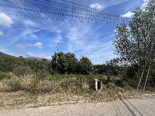 Rovelló 4