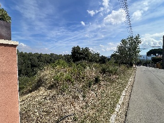Rovelló 6