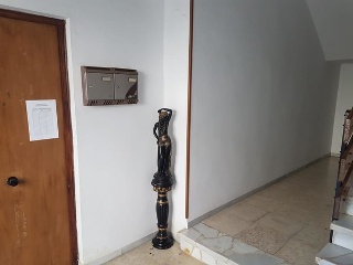 Noria 14