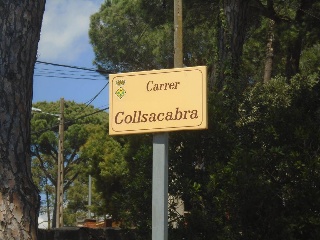 Collsacabra 5