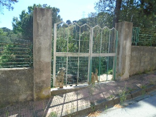 Collsacabra 6