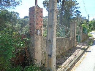 Collsacabra 7