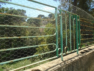 Collsacabra 9