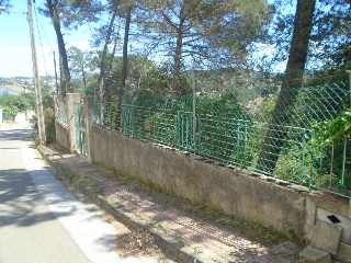Collsacabra 13