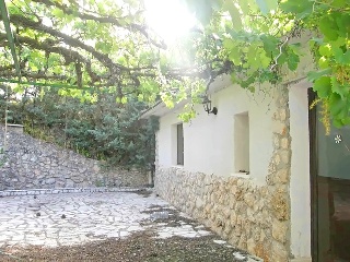 Diseminados 2