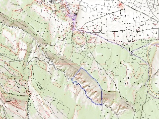 Diseminat Agullo 9