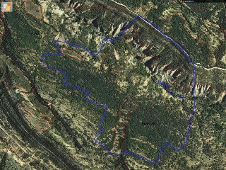Diseminat Agullo 11