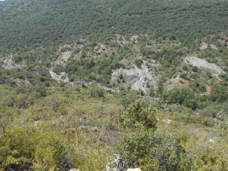 Diseminat Agullo 19