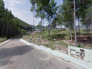 Pinars 5