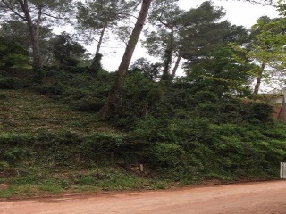 Emili Vendrell 3