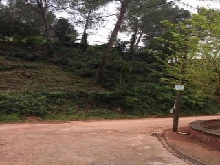 Emili Vendrell 6